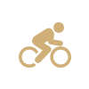 Bicycle Accident Lawyer